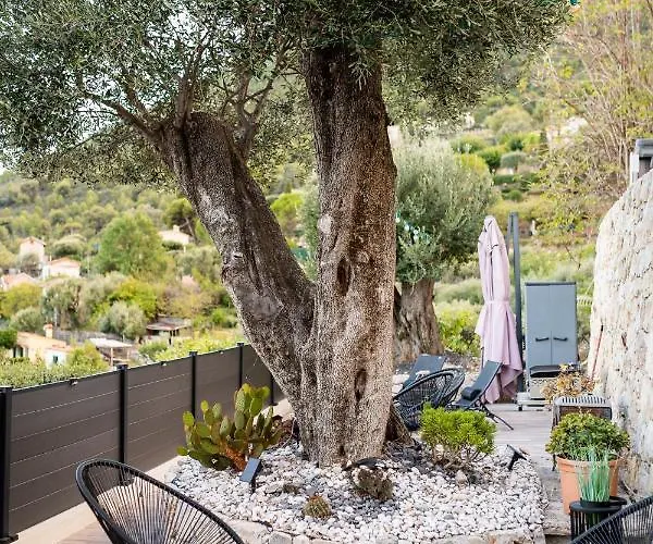 Le Petit Jardin Exotique Beausoleil