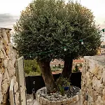 Vakantiehuis Le Petit Jardin Exotique