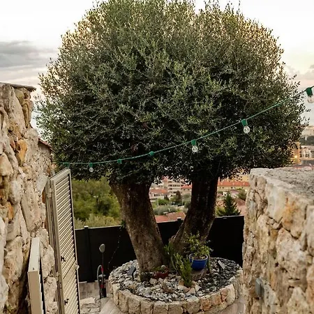 Holiday home Le Petit Jardin Exotique